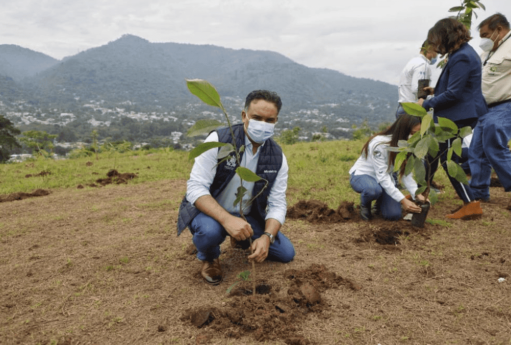 Programa de reforestación del MARN contribuye a la conservación ambiental