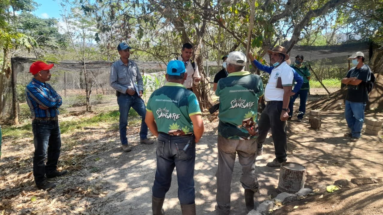 Sansare, El Progreso, fortalece su producción forestal