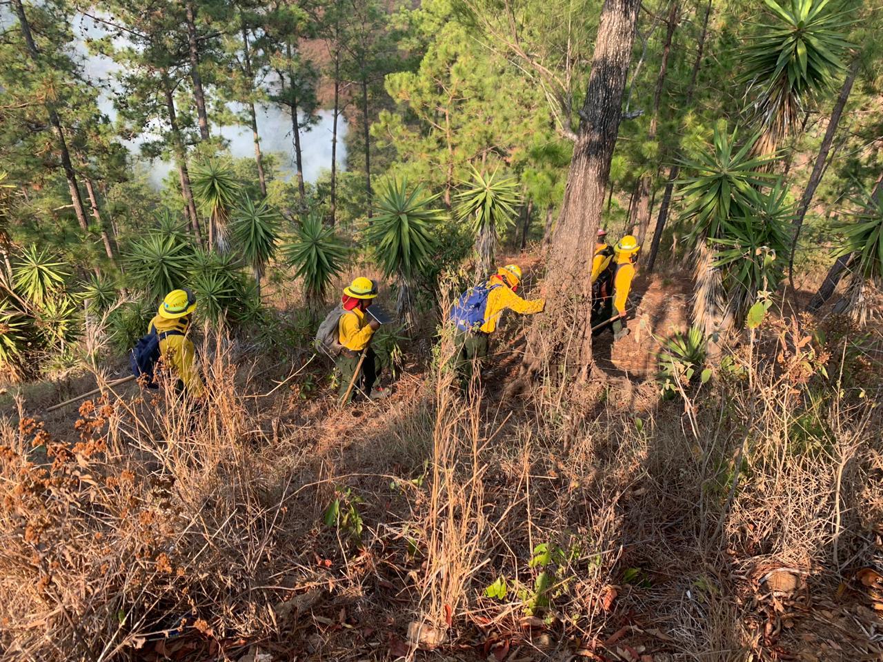 Delegados del MARN en Baja Verapaz sofocan incendio forestal en coordinación con CONRED