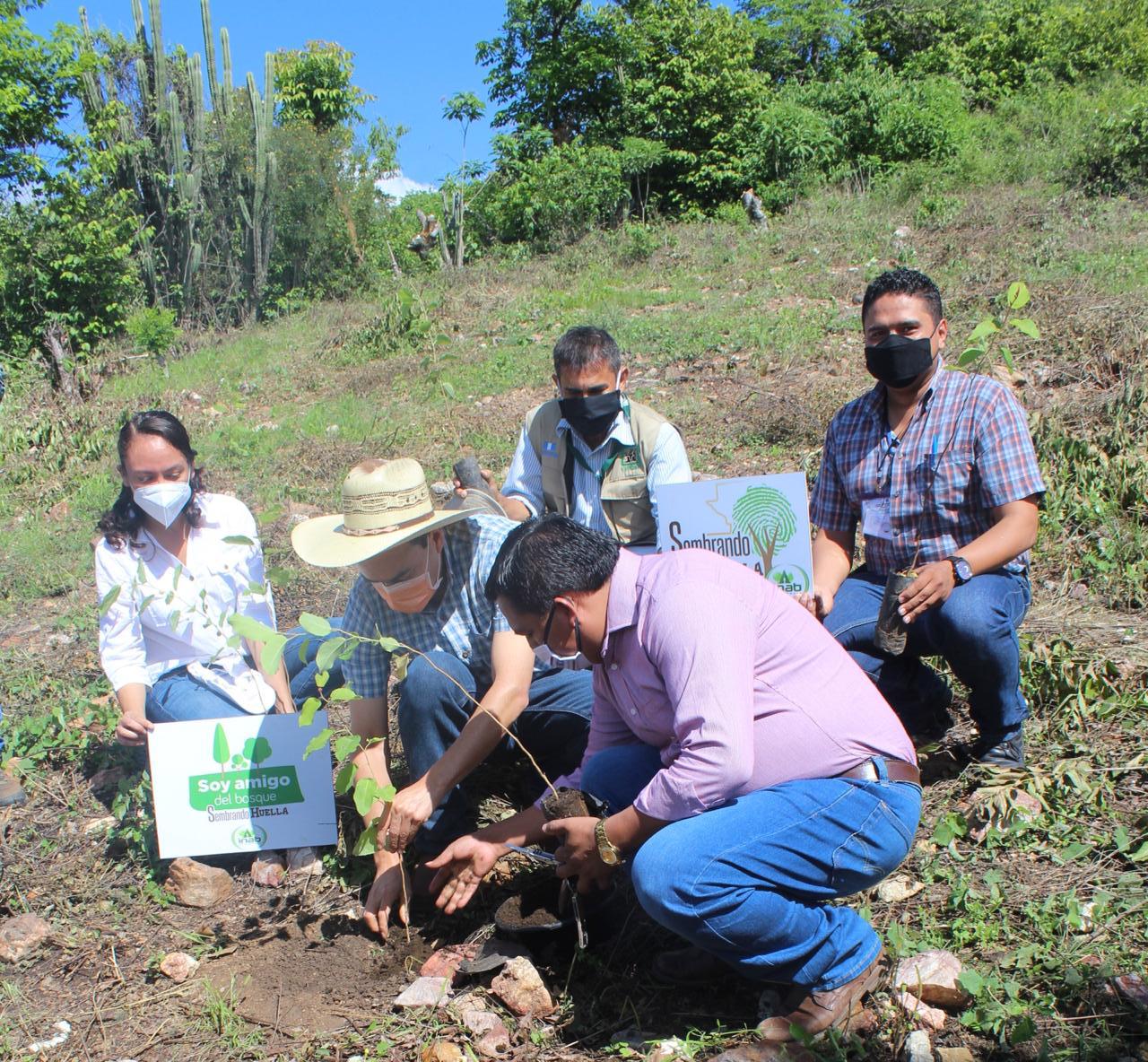 Delegados del MARN en Baja Verapaz promueven reforestación