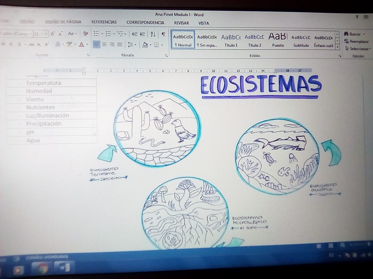 MARN continúa capacitación ambiental por medios virtuales