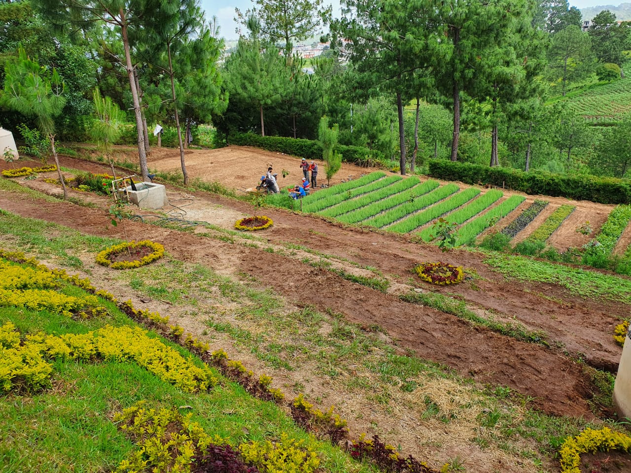 MARN entrega plantas a sectores sociales en Totonicapán