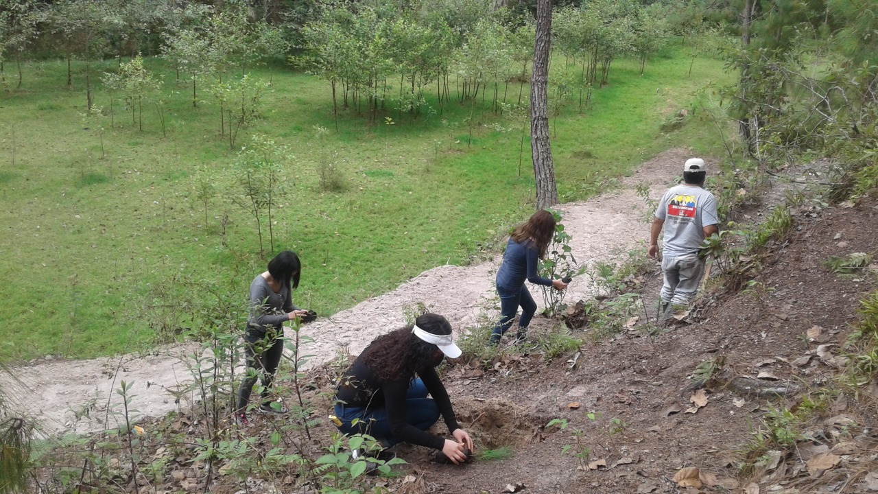 Huehuetenango recupera áreas verdes