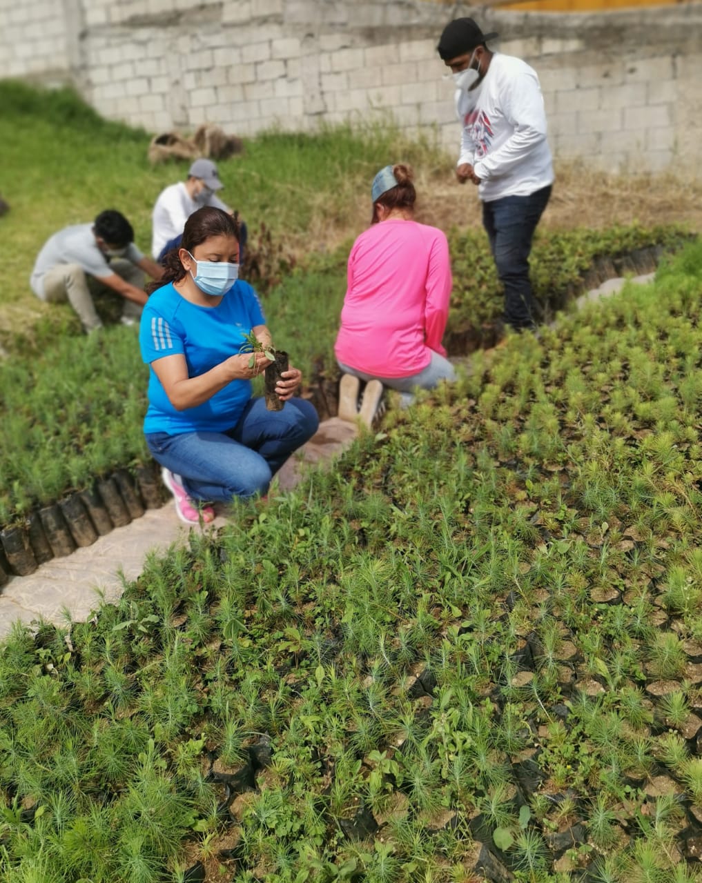 Jóvenes ayudan para que funcione vivero forestal