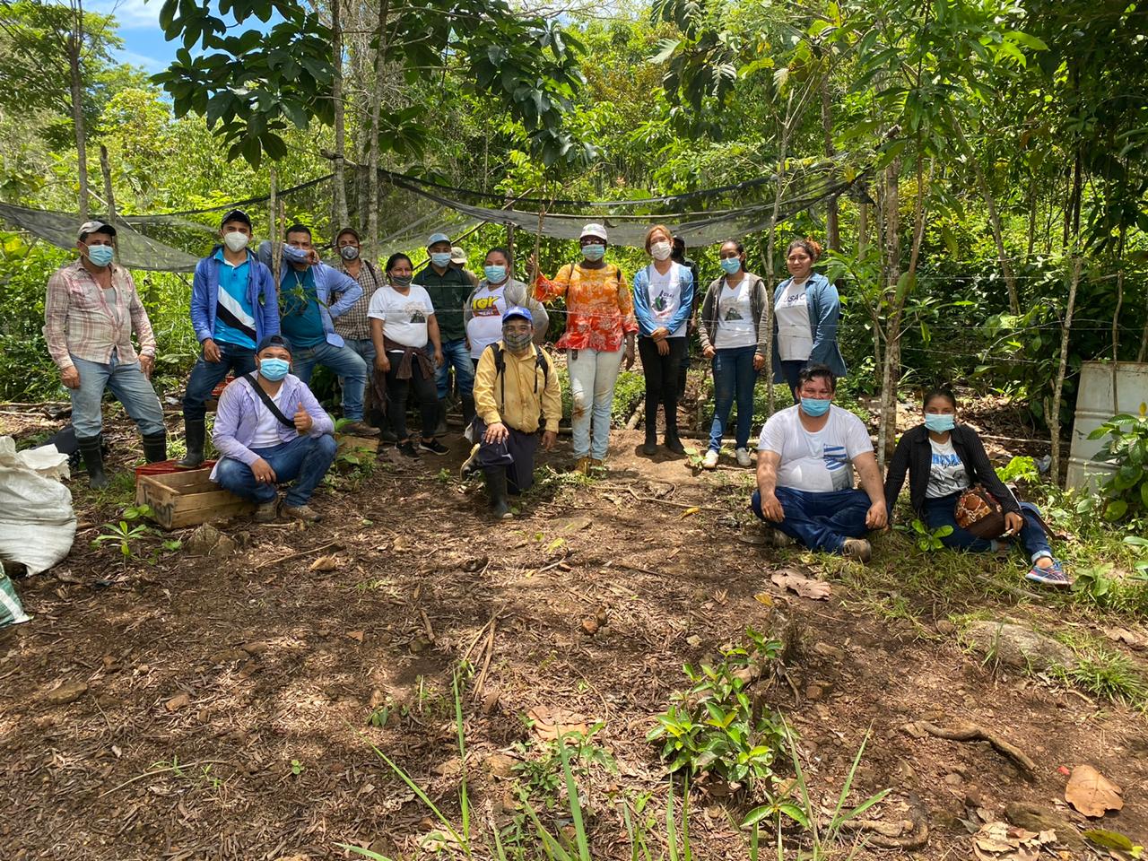 Jornadas de reforestación fortalecen bosques de Izabal y Chimaltenango