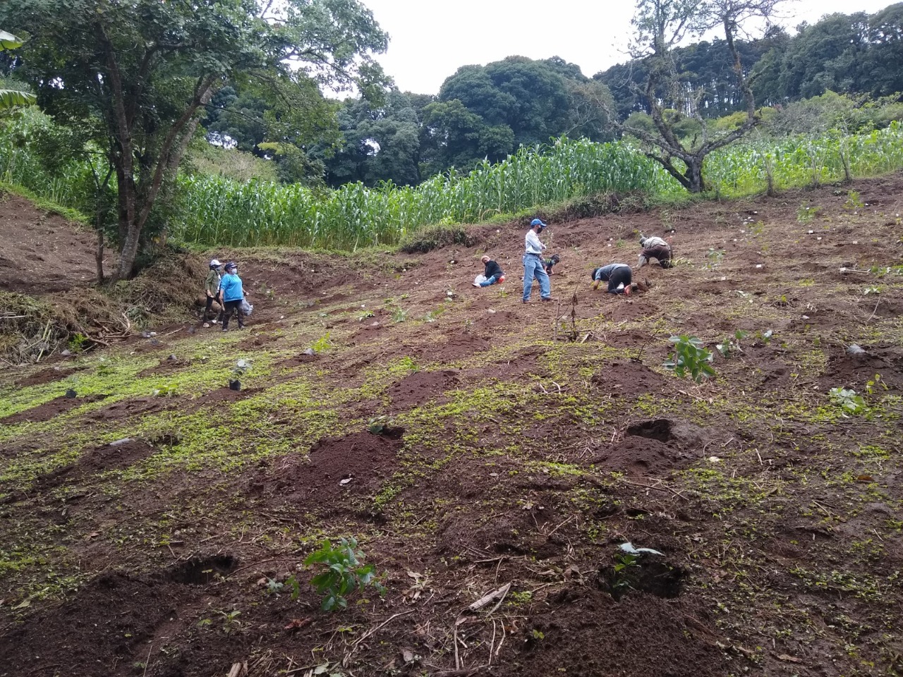 Sacatepéquez fortalece sus fuentes hídricas