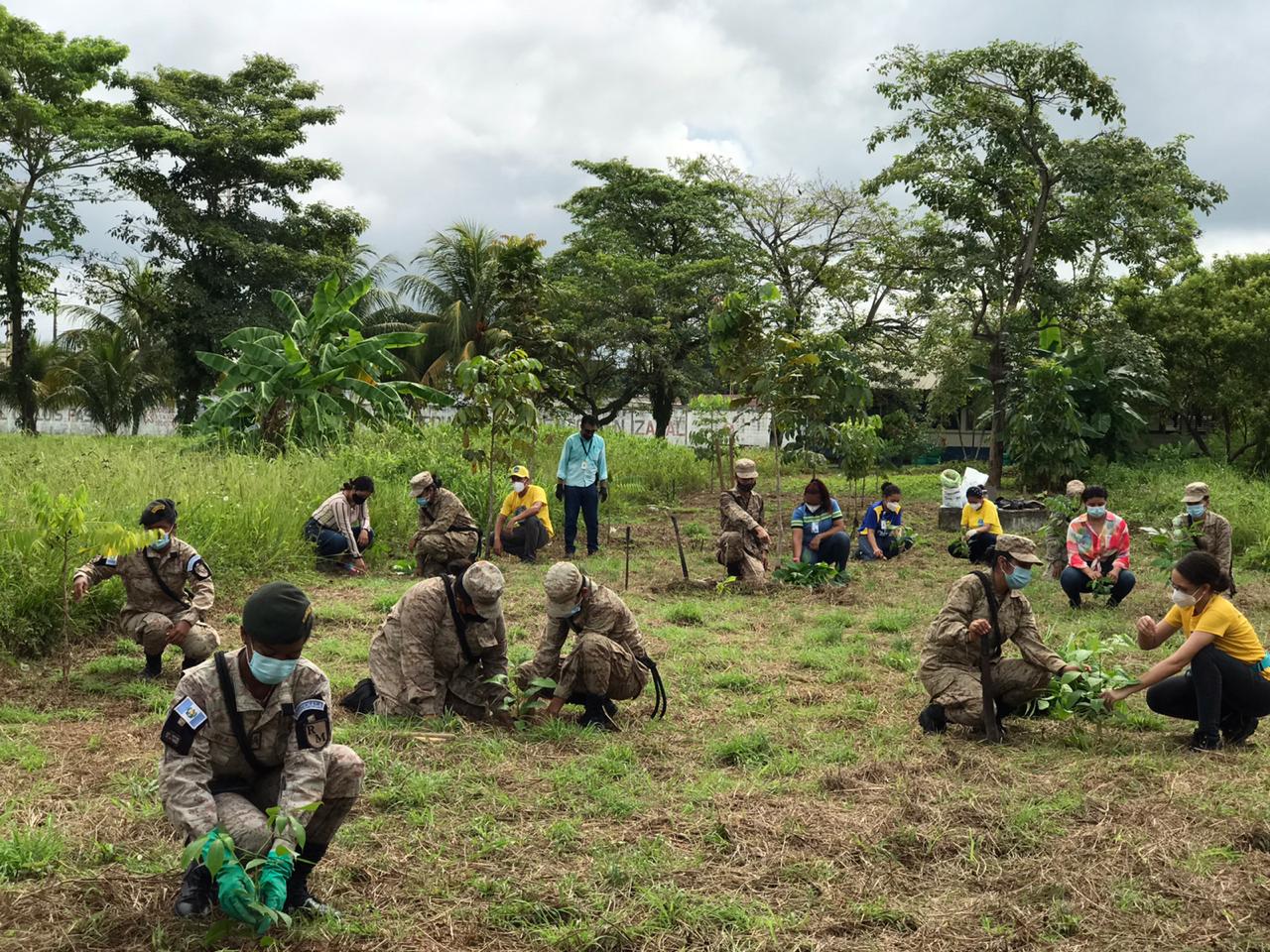 Reforestan área verde en Izabal