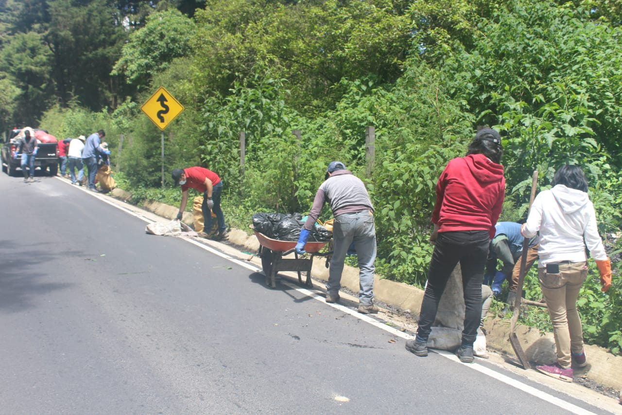 Jornadas de limpieza y reforestación continúan en todo el país