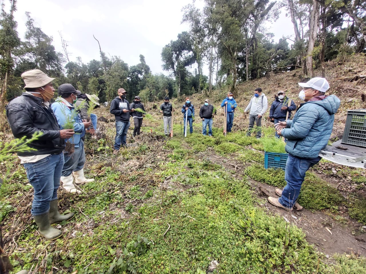 Eliminan vertederos ilegales en Escuintla y Zacapa