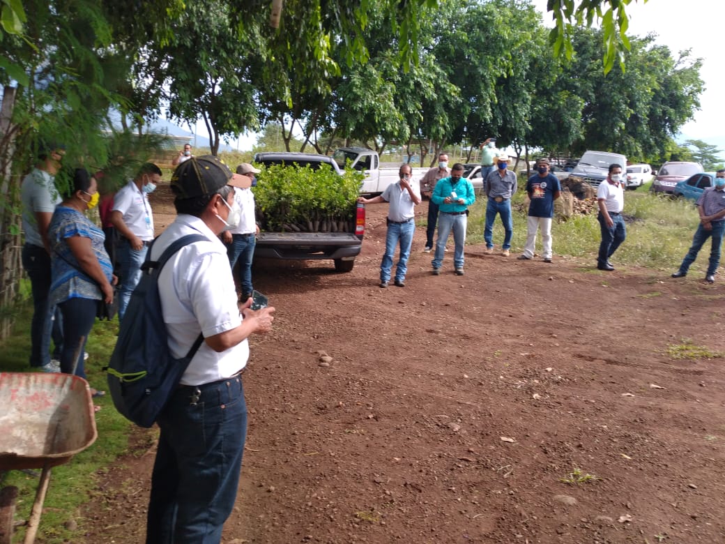 MARN reforesta cuenca baja del río Los Esclavos en Santa Rosa