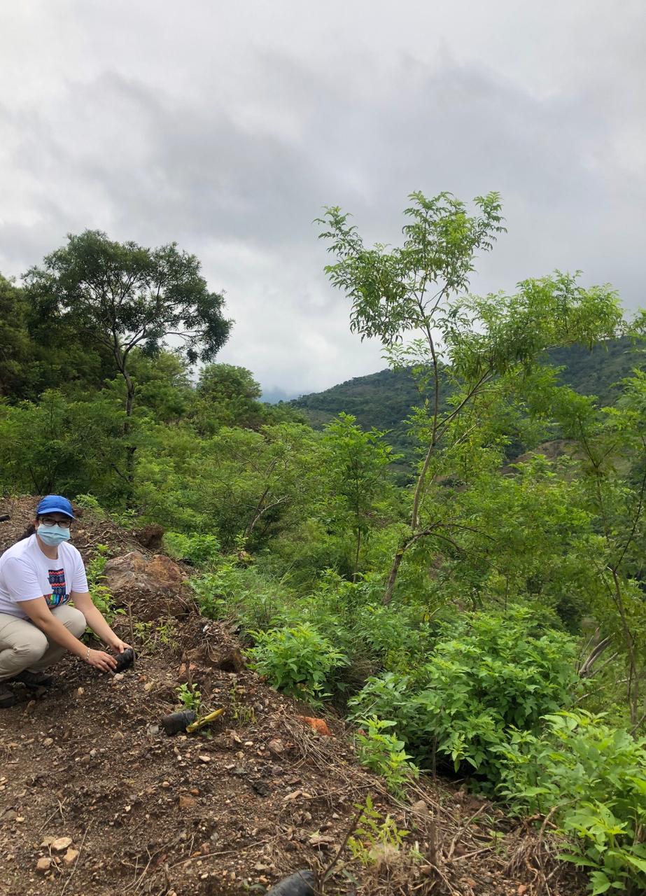 Chiquimula refuerza sus bosques con especies tropicales