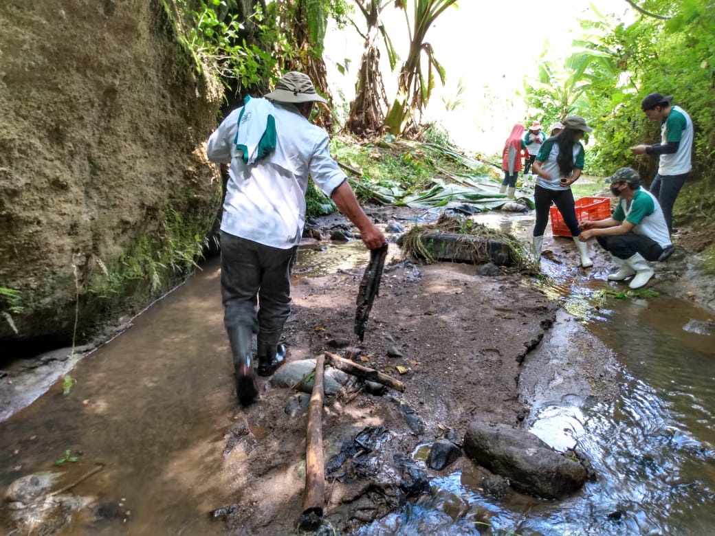 Chimaltenango e Izabal impulsan la reforestación y limpieza