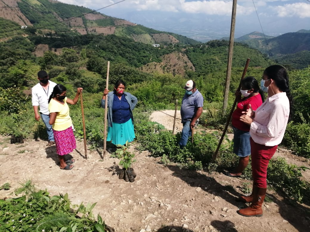 Suchitepéquez y Zacapa fortalecen sus bosques