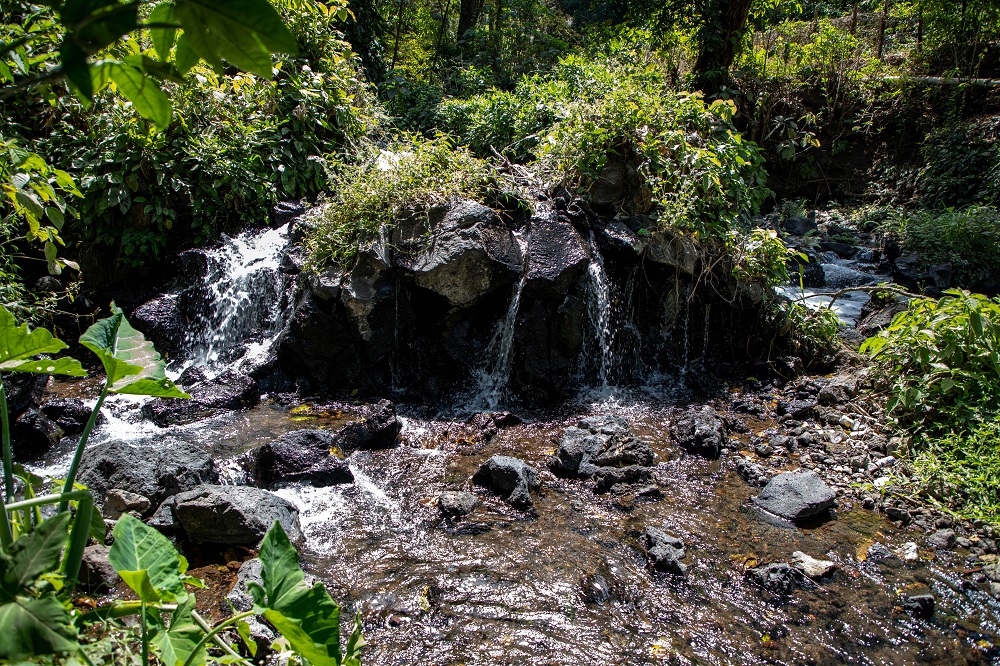 MARN Zacapa conmemora el Día Mundial del Agua