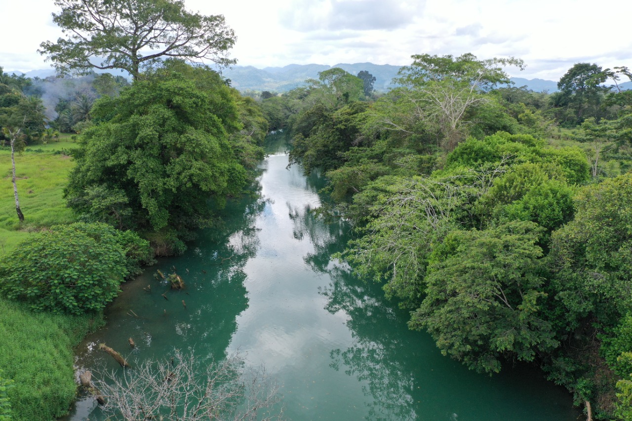 Los ríos son manantiales de vida natural