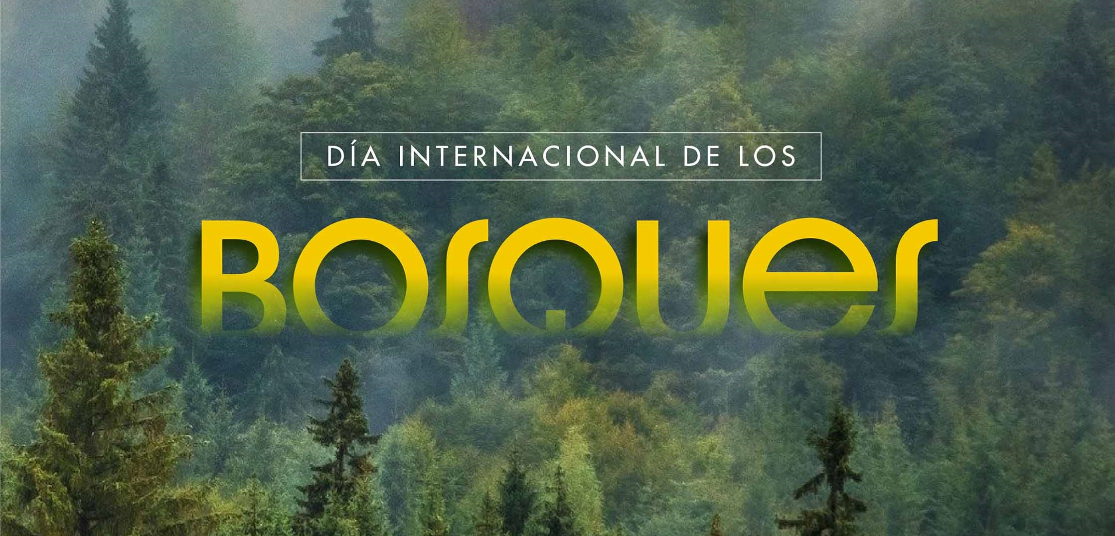 Bosques de Guatemala