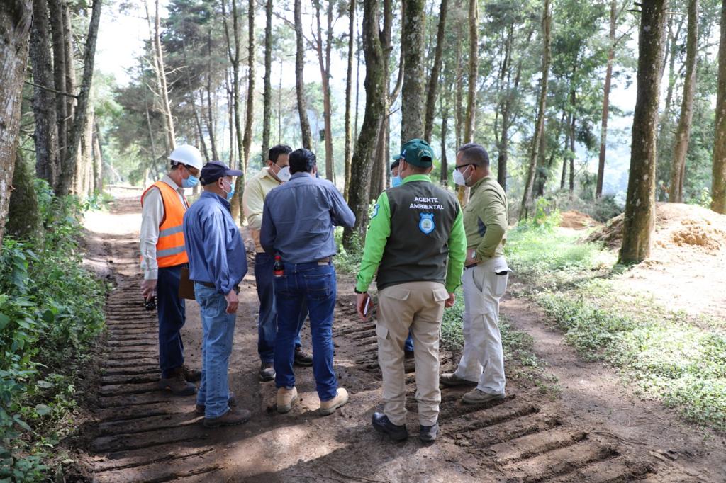 MARN verifica denuncia por tala de árboles en zona 16