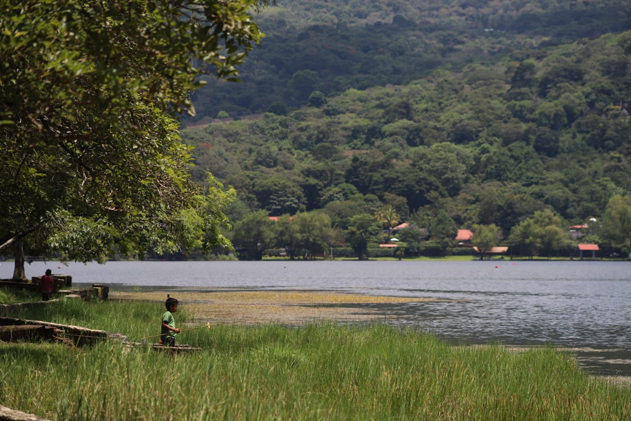 Iniciativas del MARN contribuyen a reforzar la adaptación y mitigación al cambio climático