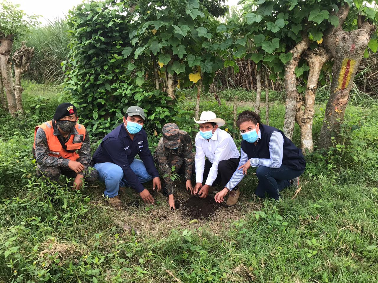 Campañas de reforestación continúan en Escuintla