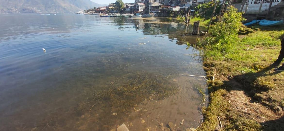 MARN verifica denuncia por contaminación en el Lago de Atitlán