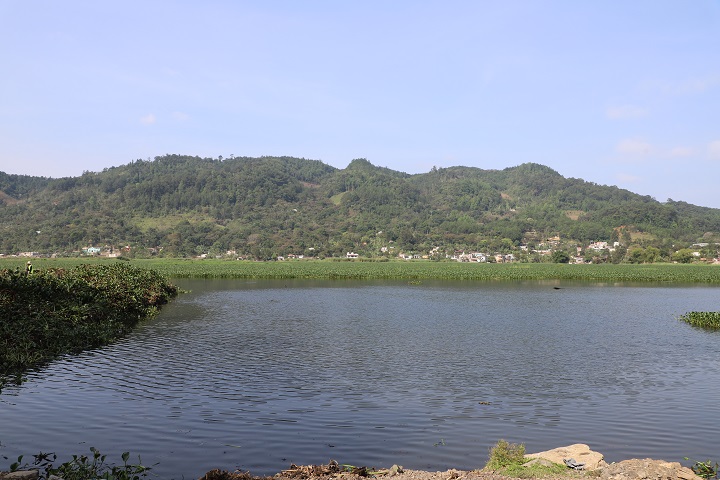 Coordinación interinstitucional permite eliminar ocho mil toneladas de ninfa de la Laguna Chichoj