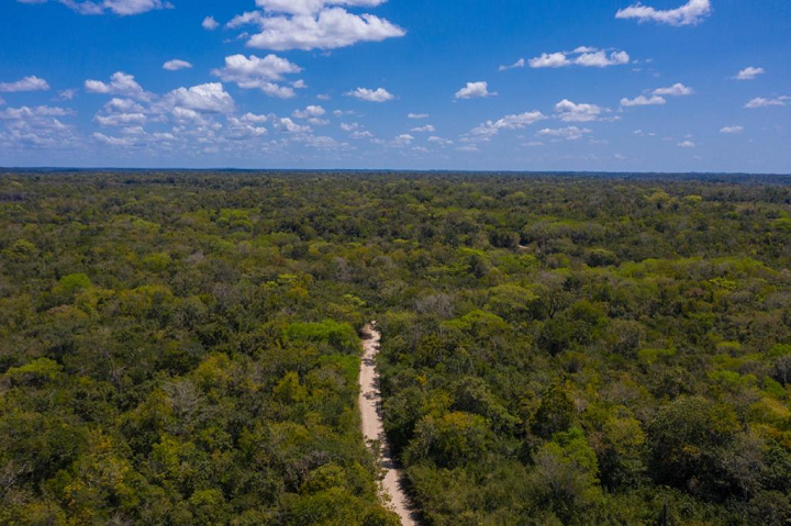 Petén avanza en la gestión y protección de los recursos naturales