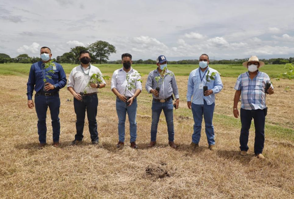 MARN implementa proyecto de restauración de bosques en la costa sur