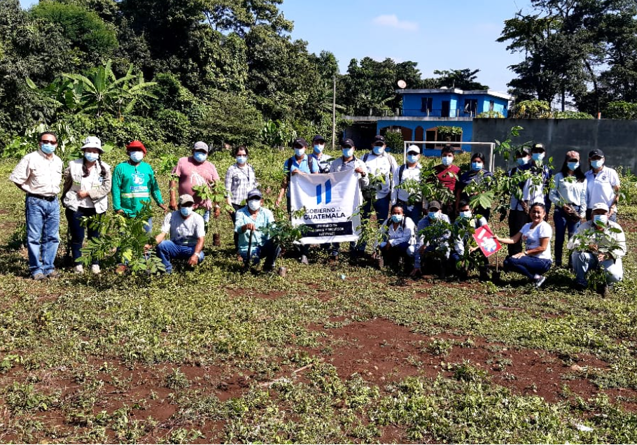 Avanza el programa Reforestemos Guatemala y las jornadas de limpieza en todo el país