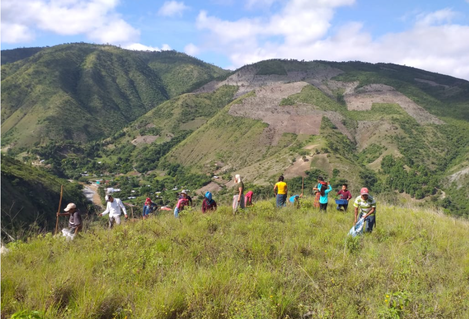 Plantan dos mil árboles en la cuenca del río Chixoy en Quiché