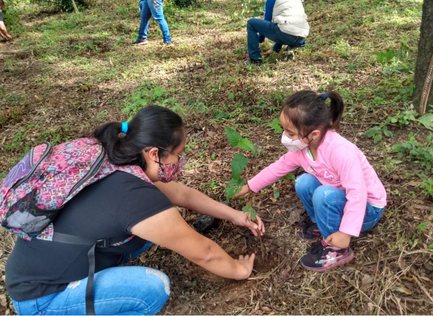 MARN planta 16 mil 700 árboles esta semana con el programa Reforestemos Guatemala