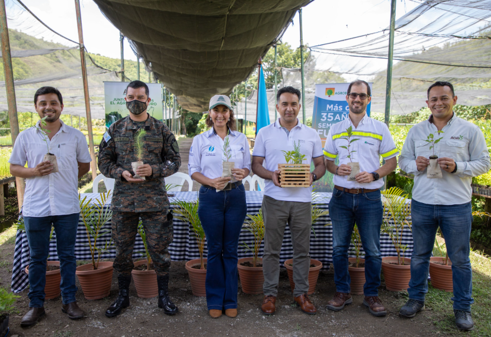 Reforestemos Guatemala recibe donación de 100 mil árboles