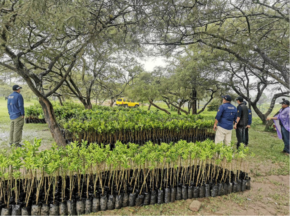 Proyecto Canje de Deuda fomenta la protección ambiental e incentiva la economía familiar