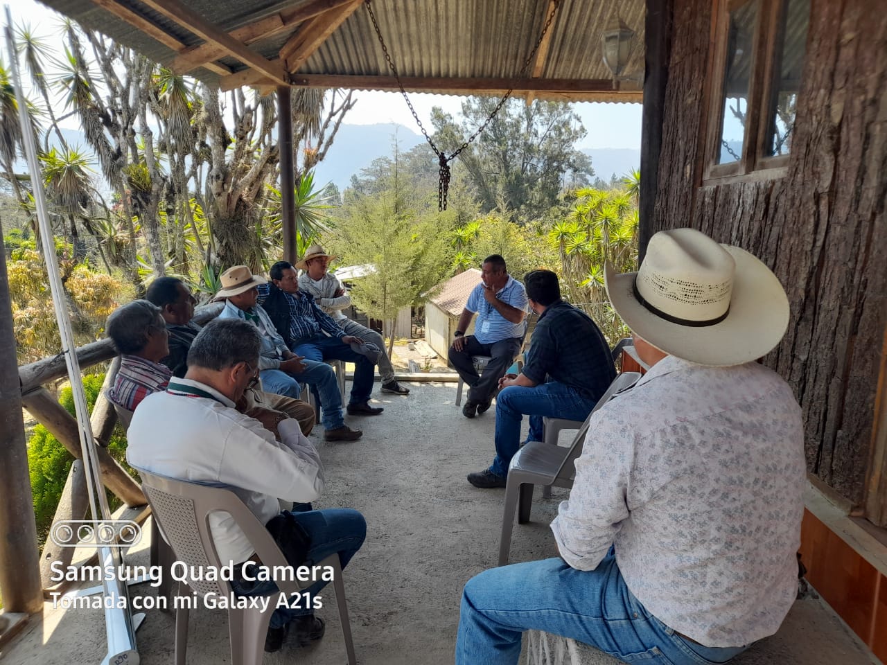 Impulsan formación forestal para la protección de los bosques