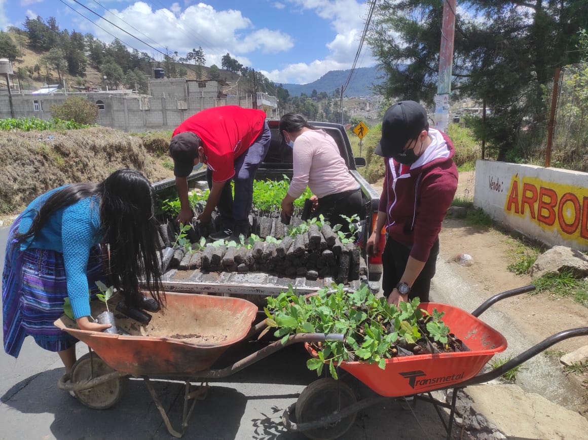 Totonicapán prepara jornadas de reforestación