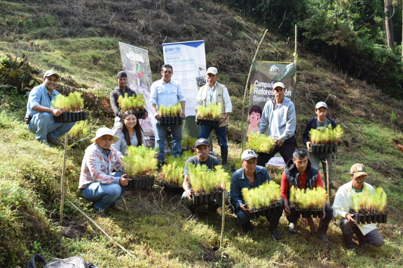 Impulsan reforestación y educación ambiental en Baja Verapaz