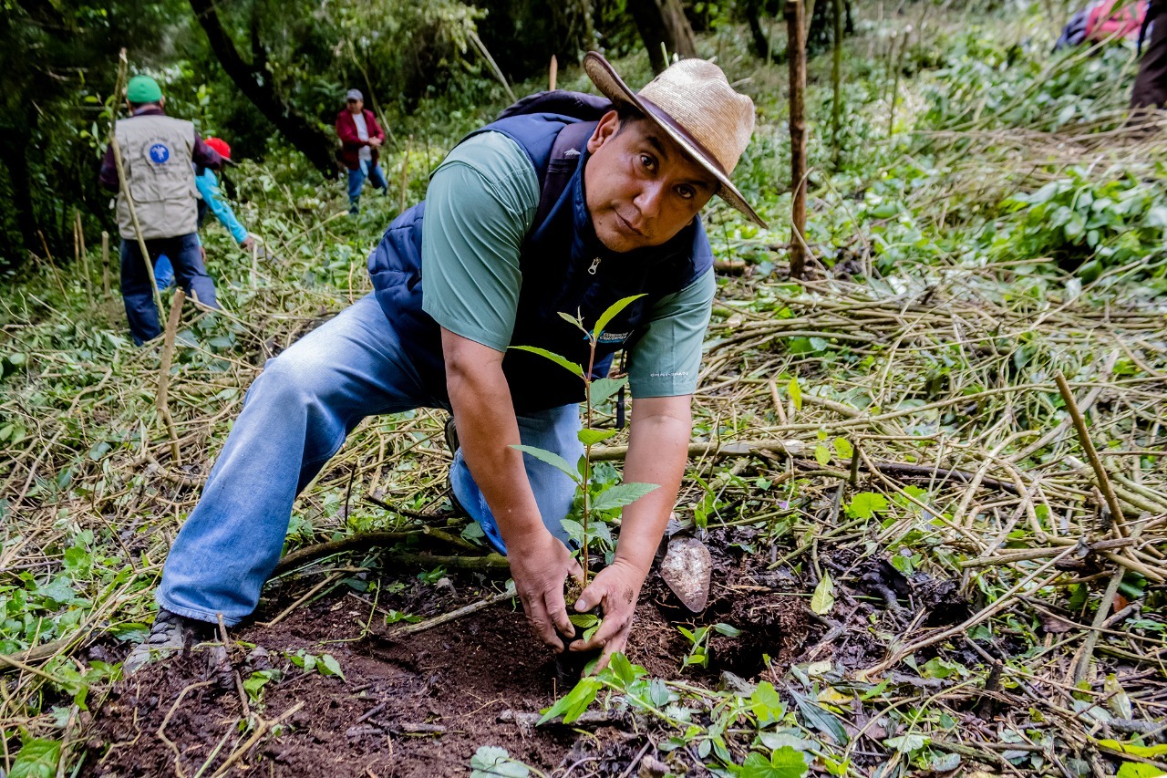 Más árboles plantados en el astillero municipal de Patzicía