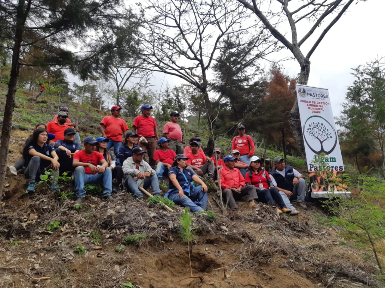 Niños y adultos participan en reforestación de Pastores, Sacatepéquez