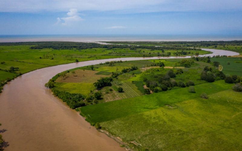 Alianzas estratégicas para la atención del río Motagua