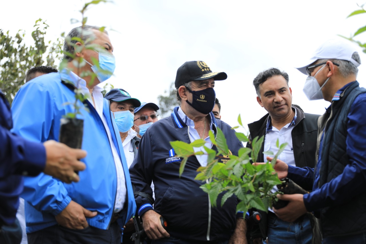 Plan de reforestación 2022 permitirá restaurar zonas degradadas en todo el país