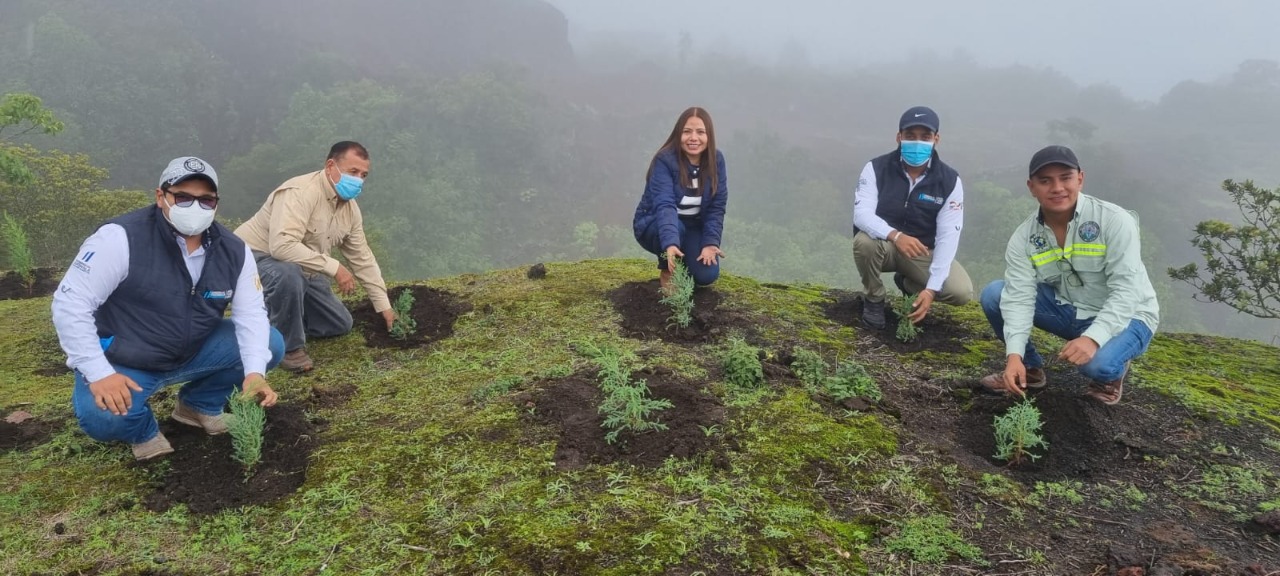 Reforestan en Escuintla áreas de importancia para la recarga hídrica