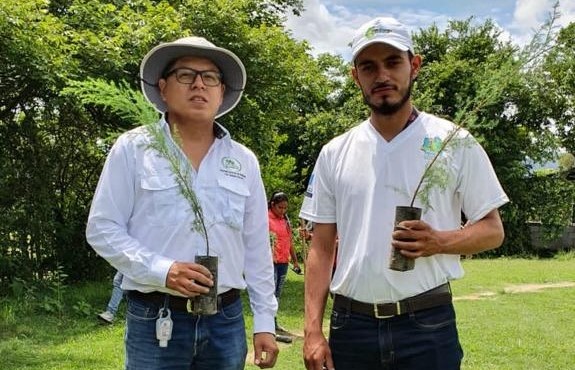 Cubulco celebra el mes del medioambiente con reforestación