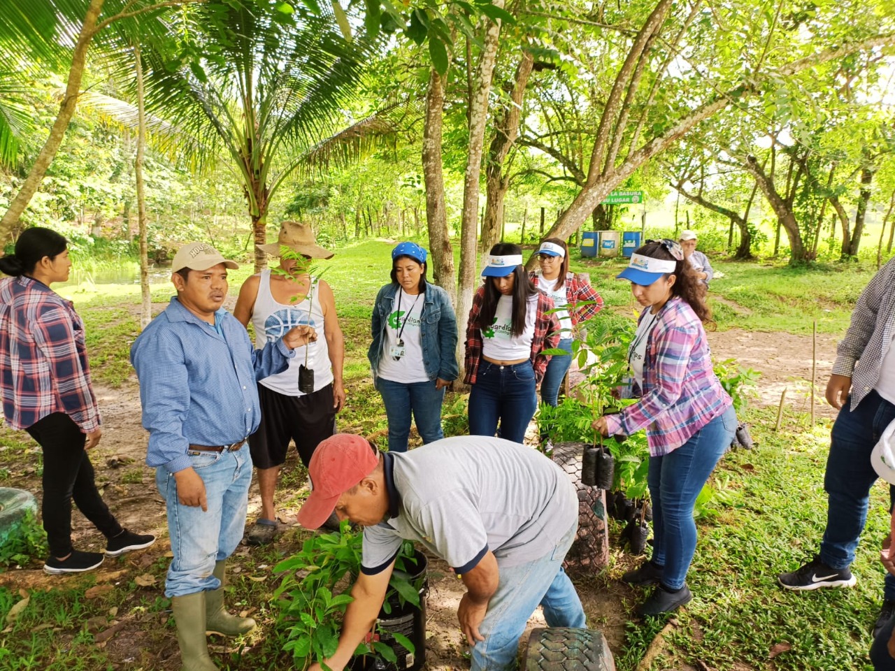 Reforestan ribera del río San Juan en El Chal, Petén