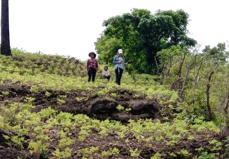 MARN, estudiantes y municipalidades plantan 800 árboles en Sanarate y Sansare