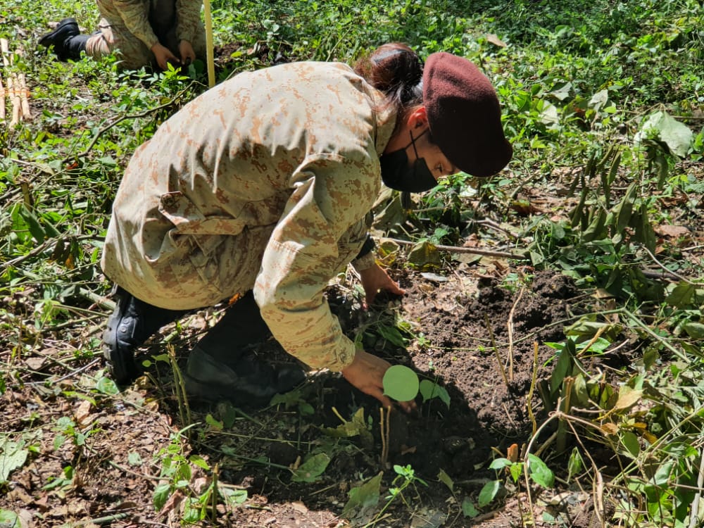 Jóvenes reforestan la cuenca del lago Petén Itzá