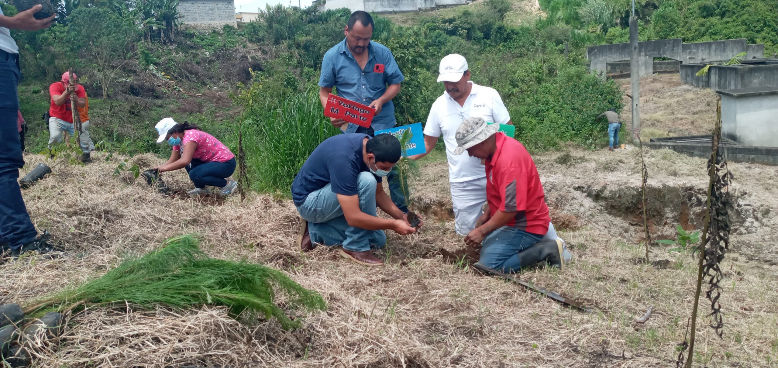 #RetoMARN: Alta Verapaz reforesta sus municipios