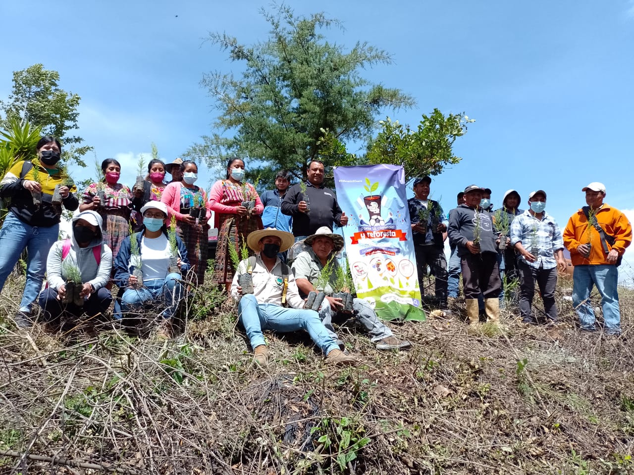 Patzún planta más árboles para proteger el medioambiente