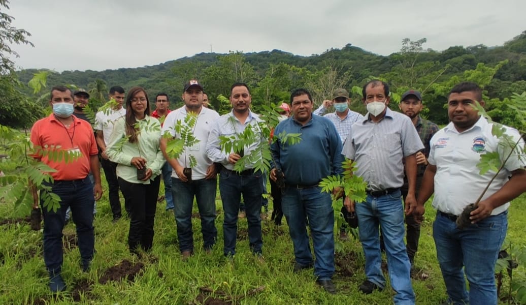 Santa Rosa cuenta con nuevas áreas reforestadas