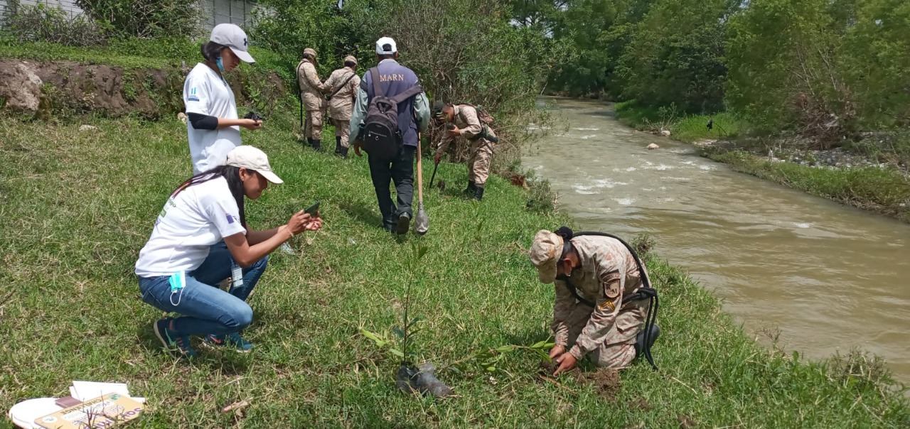 Reforestan cuenca del río San Jerónimo en Baja Verapaz