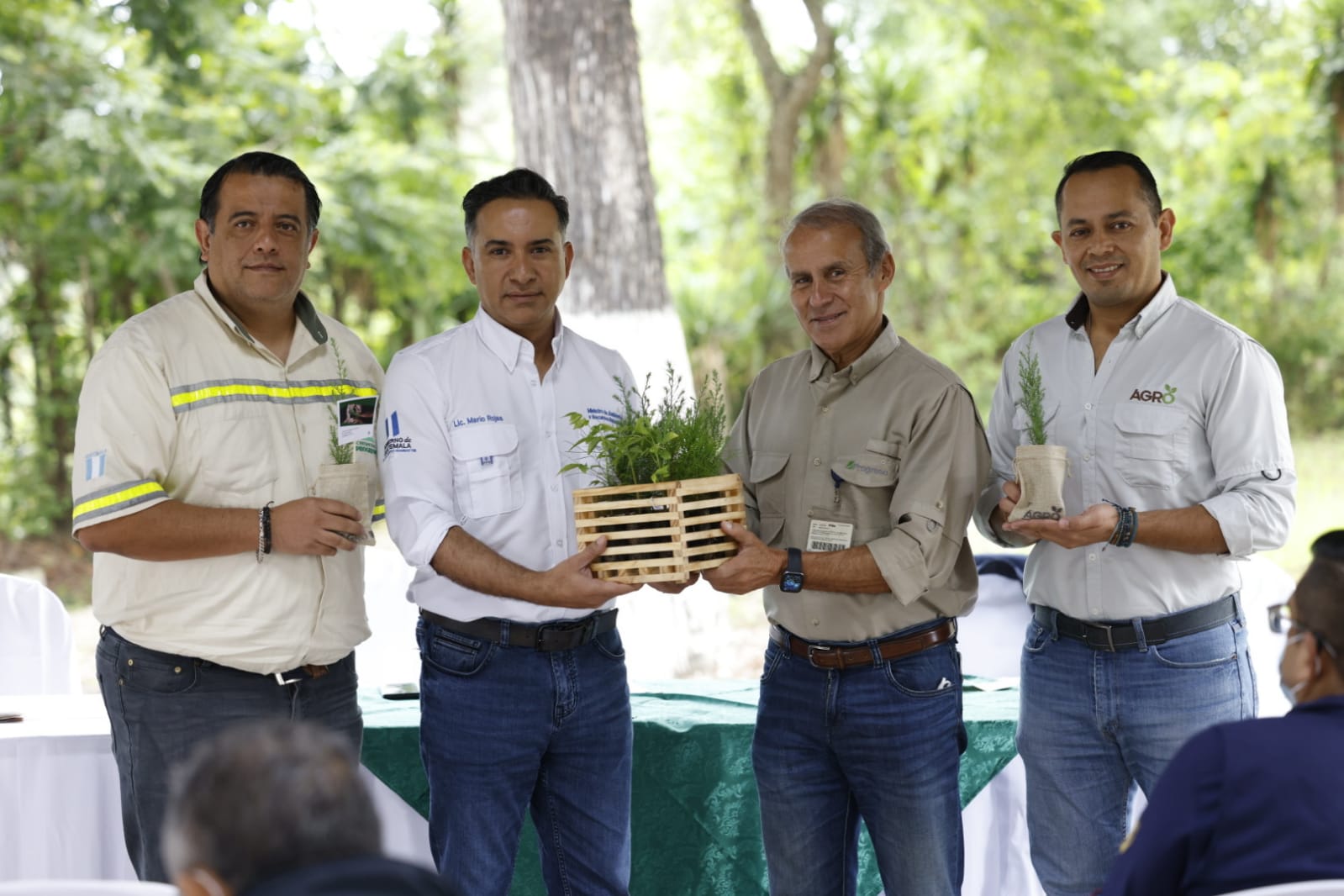 Más árboles para reforestar y restaurar Guatemala