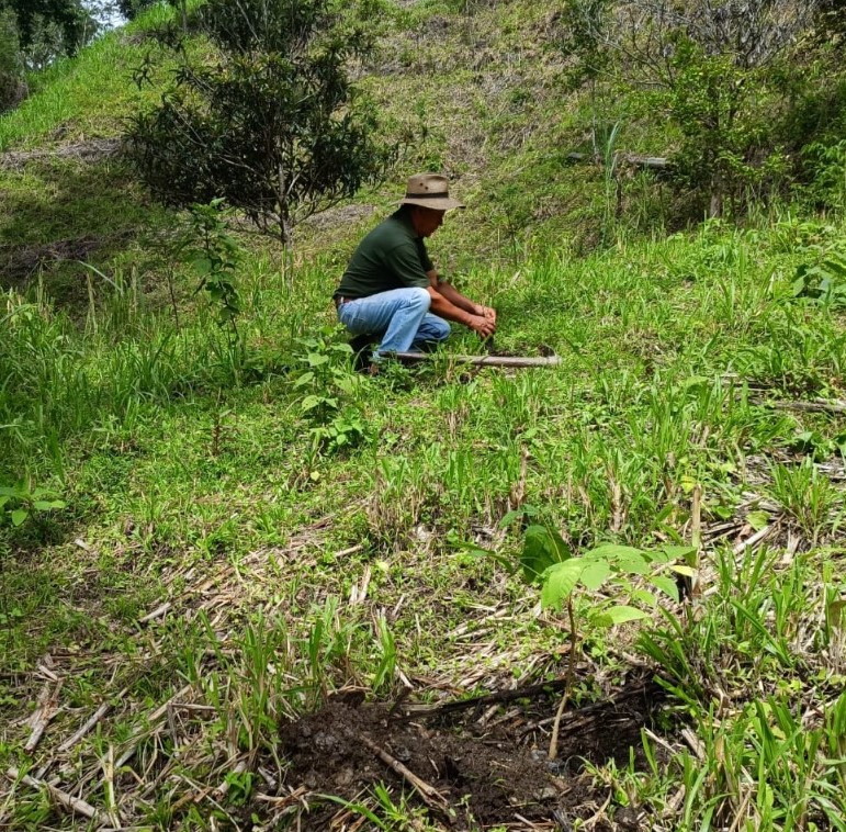 Recuperan áreas de recarga hídrica en San Agustín Acasaguastlán